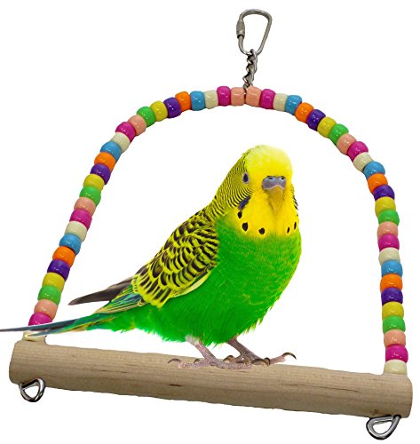 Pet Feed