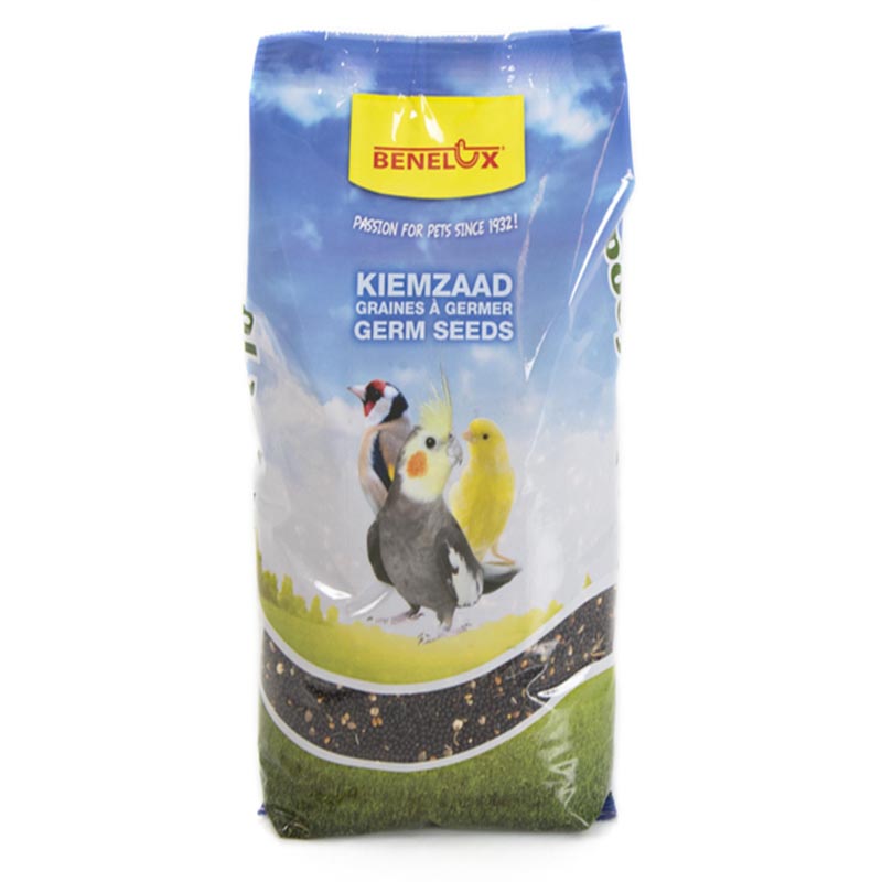 Bird Food