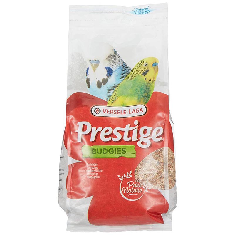 Bird Food